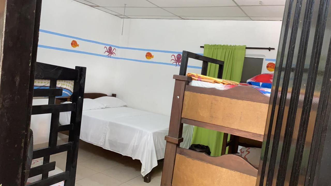 Palomino Hostel エクステリア 写真