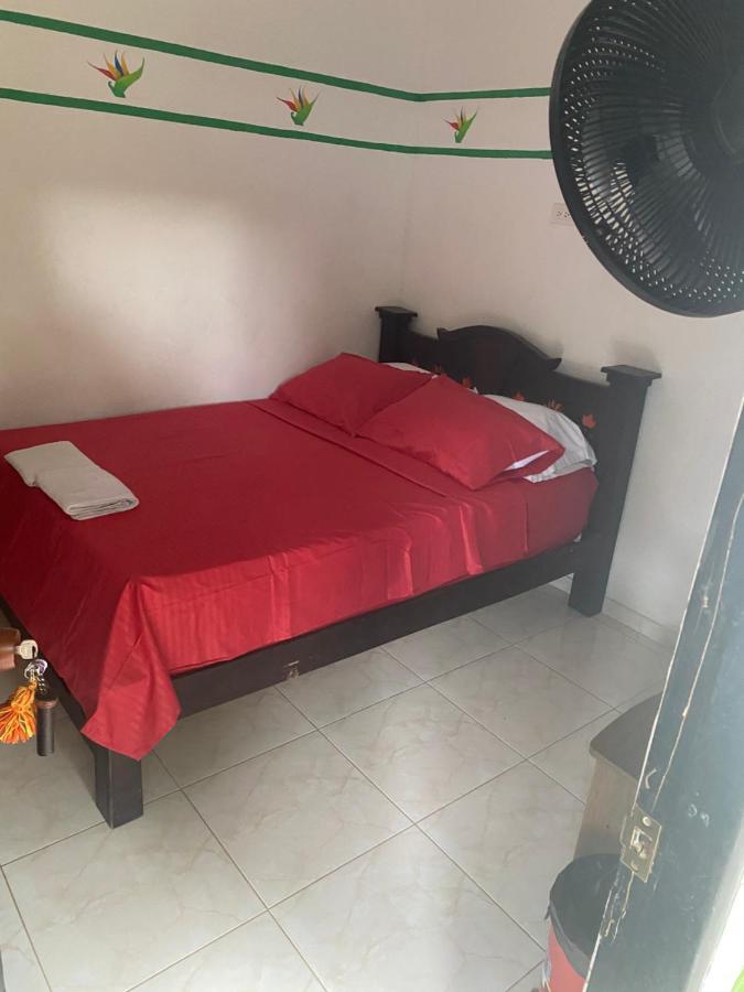Palomino Hostel エクステリア 写真