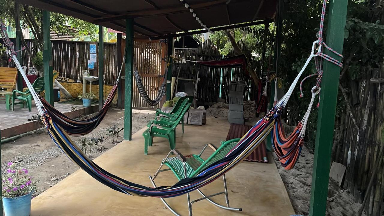 Palomino Hostel エクステリア 写真