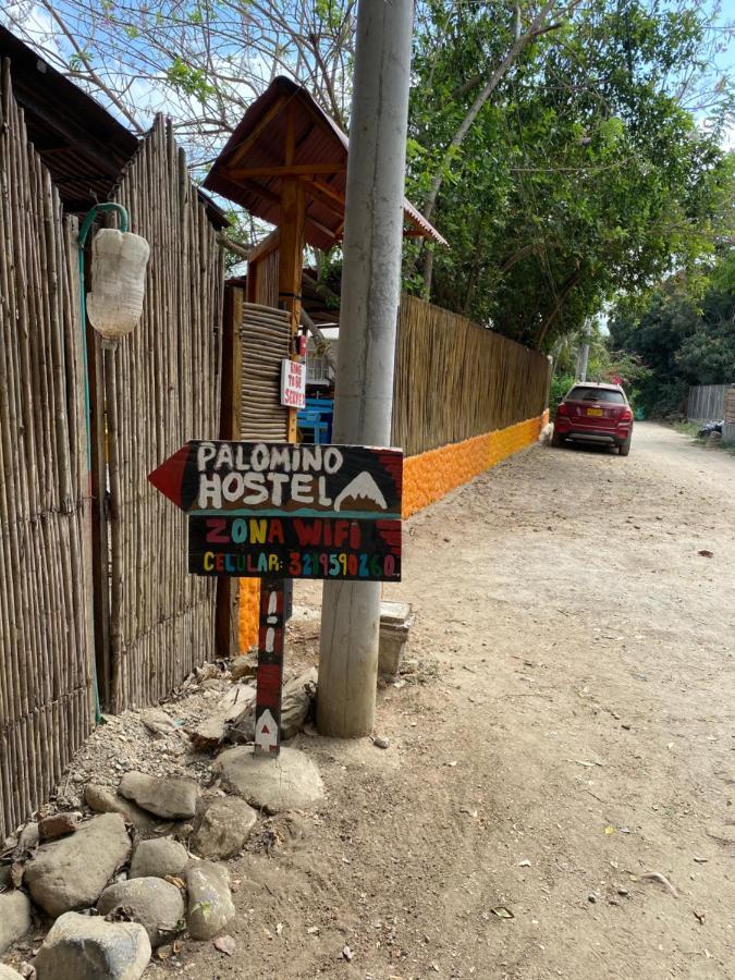 Palomino Hostel エクステリア 写真