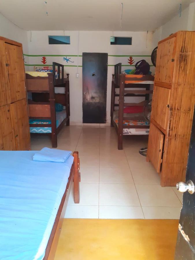 Palomino Hostel エクステリア 写真