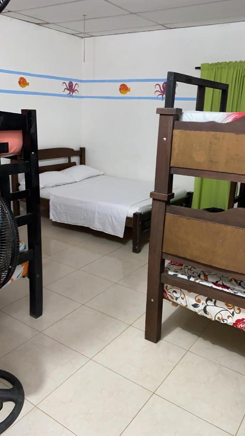 Palomino Hostel エクステリア 写真