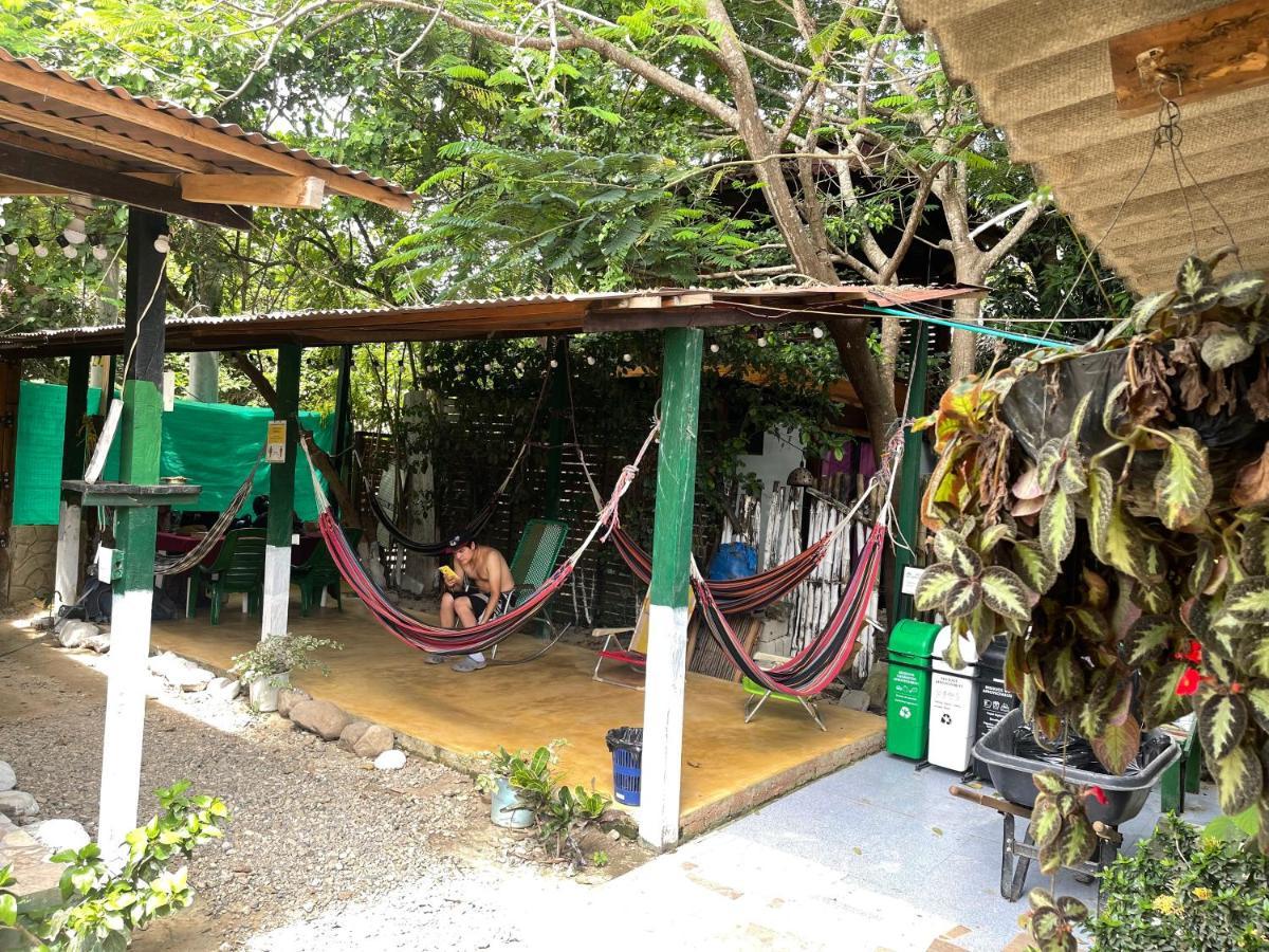 Palomino Hostel エクステリア 写真