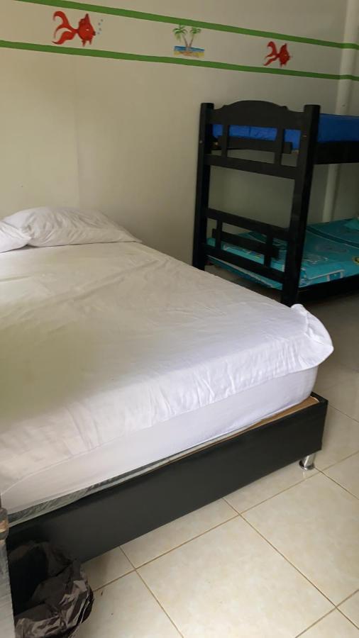 Palomino Hostel エクステリア 写真