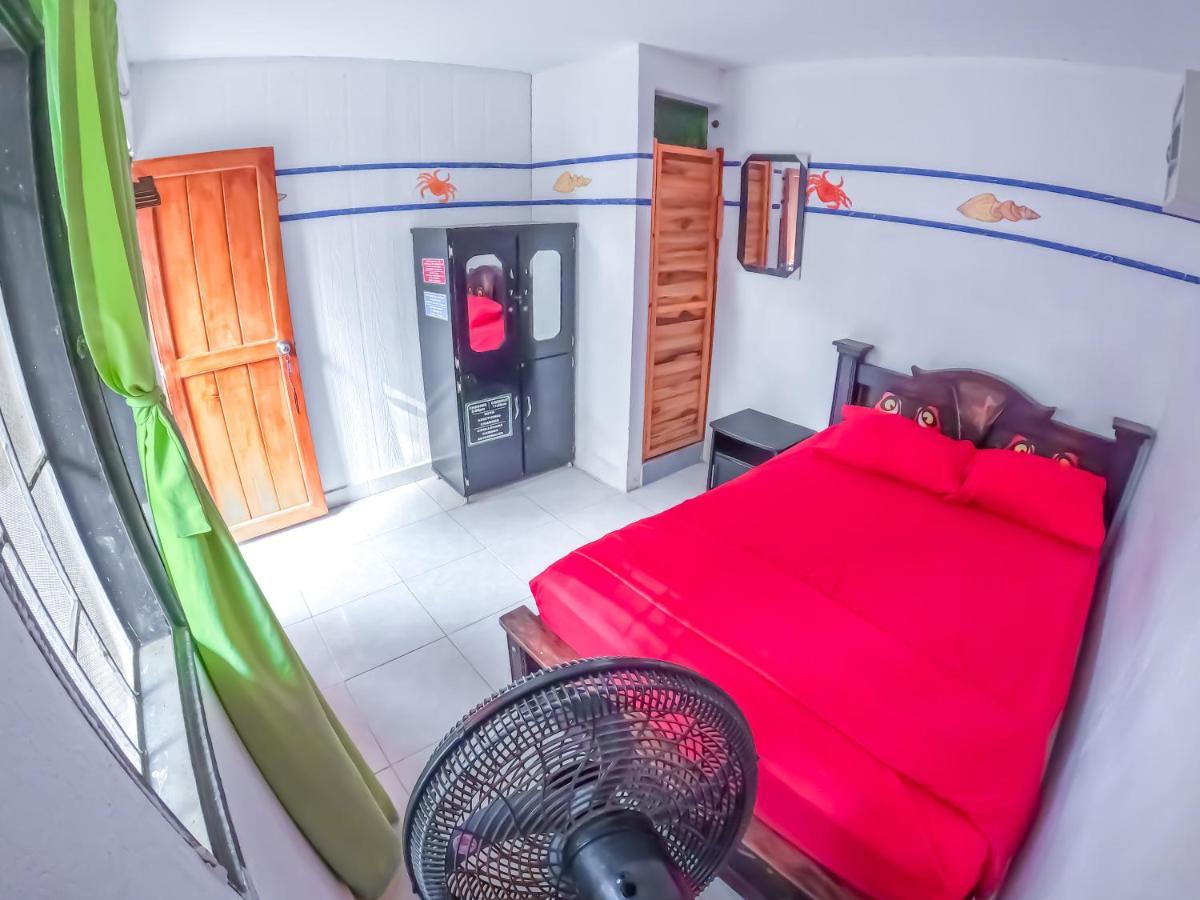 Palomino Hostel エクステリア 写真