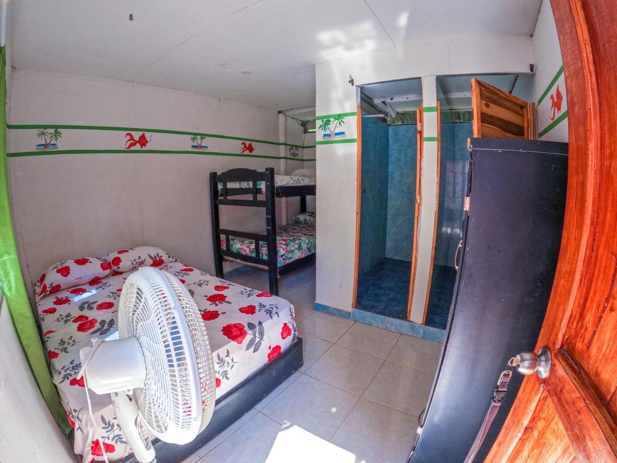 Palomino Hostel エクステリア 写真