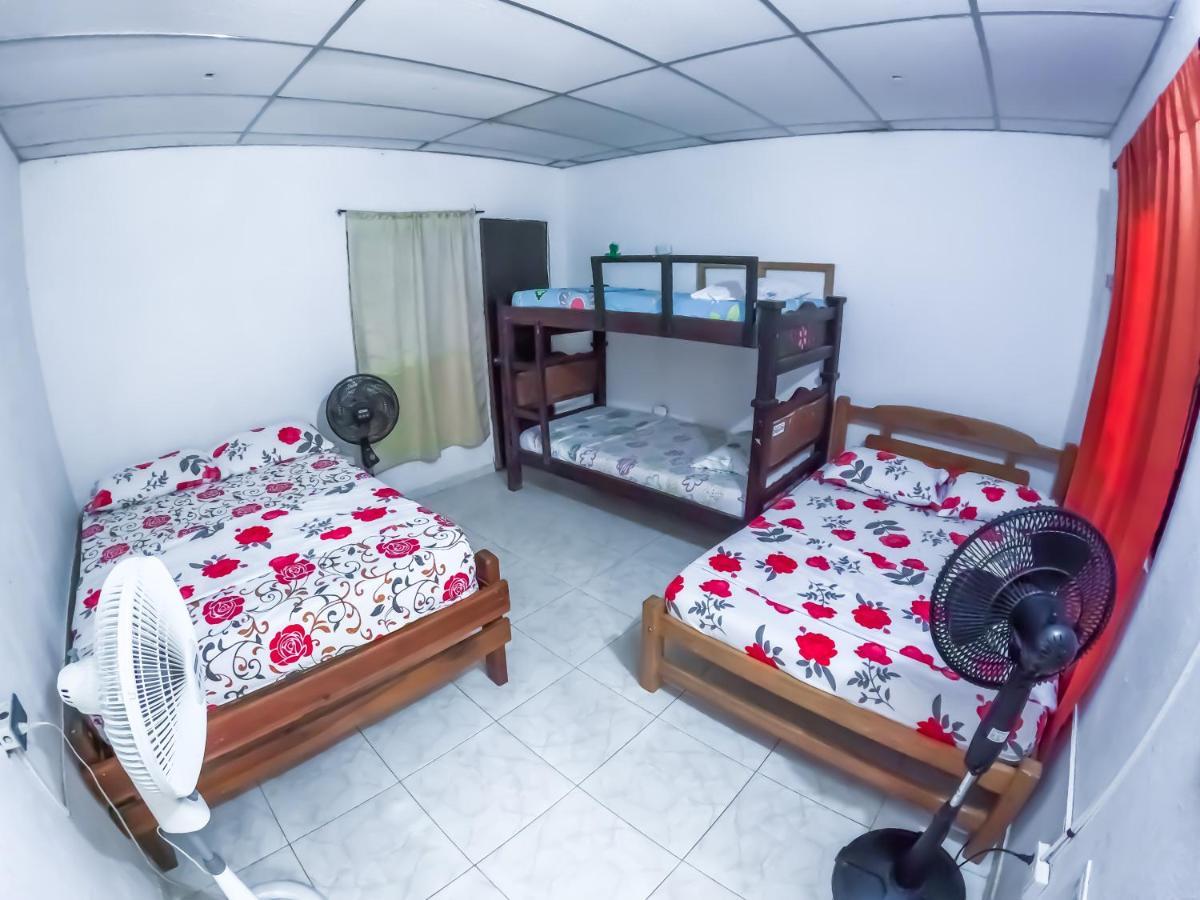 Palomino Hostel エクステリア 写真