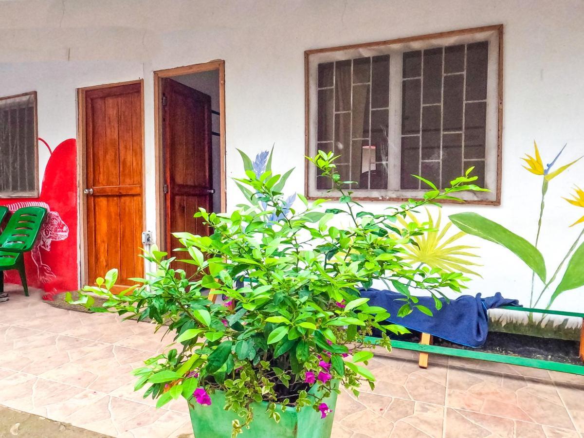 Palomino Hostel エクステリア 写真